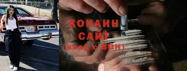 мескалин Бородино