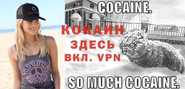 мескалин Бородино